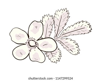 Flower and leaf. Composition in pastel colors. Vector 