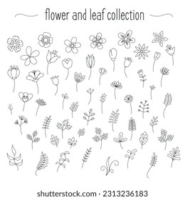 Flower and leaf drawing collection.
