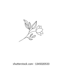 Flower and leaf drawing with line-art on white backgrounds. 
