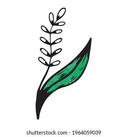A flower with a leaf drawn by hand in the style of a doodle. Indoor Blooming Branch icon