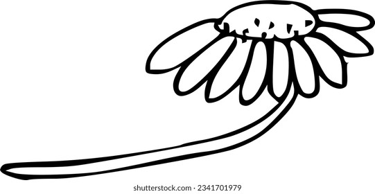 Flower and leaf floral ink vector illustration for wedding invitation, greeting cards etc