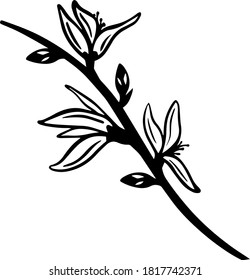 flower leaf gentle classic plant black white love 