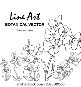 flower and leaf hand drawn botanical illustration with line art