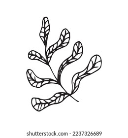 Flower Leaf Hand Drawn Vector Shape
