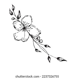 Flower Leaf Hand Drawn Vector Shape