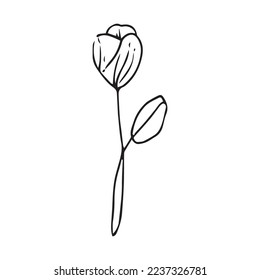 Flower Leaf Hand Drawn Vector Shape