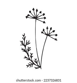Flower Leaf Hand Drawn Vector Shape