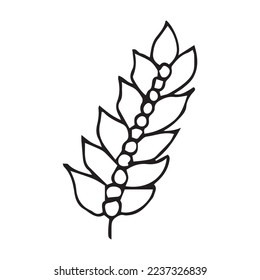 Flower Leaf Hand Drawn Vector Shape