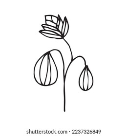 Flower Leaf Hand Drawn Vector Shape
