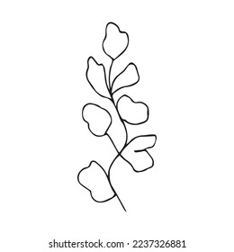 Flower Leaf Hand Drawn Vector Shape