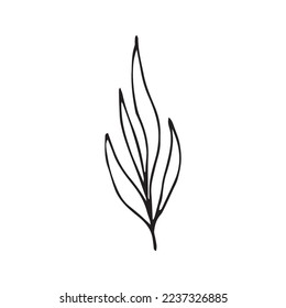 Forma del vector dibujado de mano de la hoja de flor