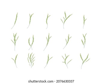 flower and leaf icon vector illustration for pattern