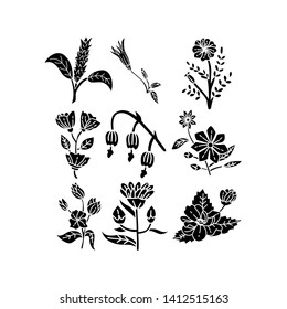 Flower Leaf Illustration Design Template Vector