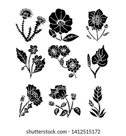 Flower Leaf Illustration Design Template Vector