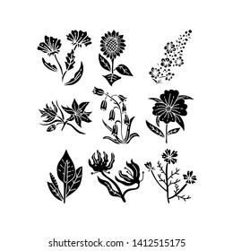Flower Leaf Illustration Design Template Vector