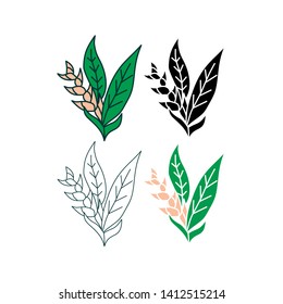 Flower Leaf Illustration Design Template Vector