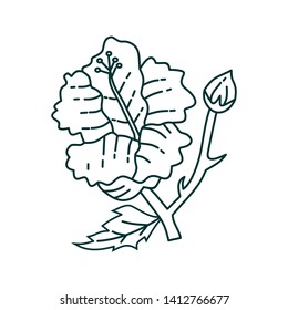 Flower Leaf Illustration Design Template Vector