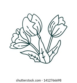 Flower Leaf Illustration Design Template Vector