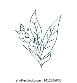 Flower Leaf Illustration Design Template Vector