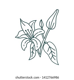 Flower Leaf Illustration Design Template Vector