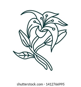 Flower Leaf Illustration Design Template Vector