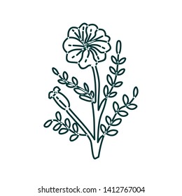Flower Leaf Illustration Design Template Vector