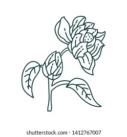 Flower Leaf Illustration Design Template Vector