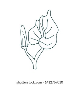 Flower Leaf Illustration Design Template Vector