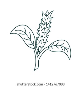 Flower Leaf Illustration Design Template Vector