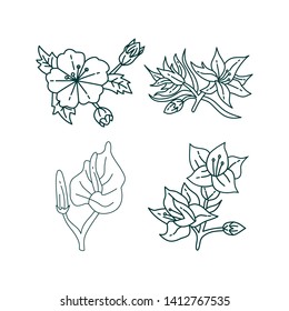 Flower Leaf Illustration Design Template Vector