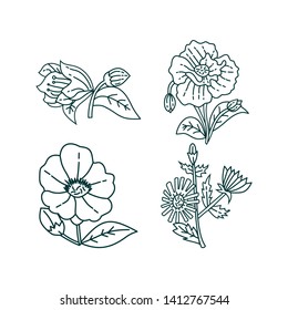 Flower Leaf Illustration Design Template Vector