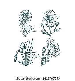 Flower Leaf Illustration Design Template Vector