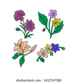 Flower Leaf Illustration Design Template Vector