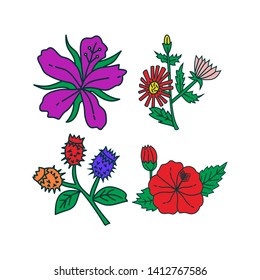 Flower Leaf Illustration Design Template Vector