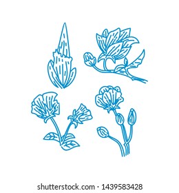 Flower Leaf Illustration Design Template Vector Linear