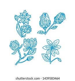 Flower Leaf Illustration Design Template Vector Linear