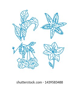 Flower Leaf Illustration Design Template Vector Linear