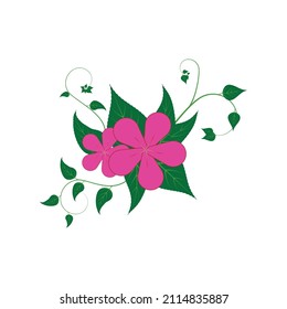 Vector de plantilla de diseño de ilustración de hoja de flores