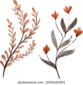 flower, leaf, isolated, nature, spring, illustration, botany, decoration, vector, flax, red and black flower, Zamioculcas 