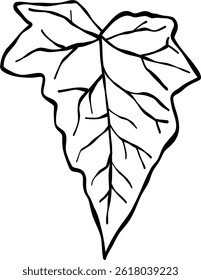 Flor e Folha Linha Arte Preto Cor Desenhado à Mão Estilo de esboço para livro de coloração