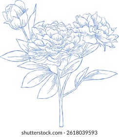 Flower and Leaf Line Art Blue Color Hand Drawn Sketch Style
