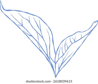 Flower and Leaf Line Art Blue Color Hand Drawn Sketch Style