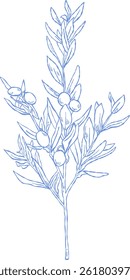 Flower and Leaf Line Art Blue Color Hand Drawn Sketch Style