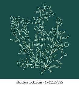Flower and leaf on Green background.