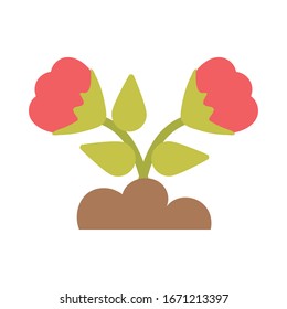 flower with leaf on white background vector illustration design