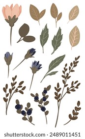 flower and leaf on white background Elements are isolated on a white background. Design for printing on cards, invitations