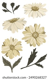 flower and leaf on white background Elements are isolated on a white background. Design for printing on cards, invitations
