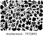 flower and leaf set vector