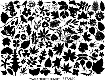 flower and leaf set vector