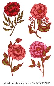 Flower and Leaf Sketch Art collection Hand drawn painting Vintage style
